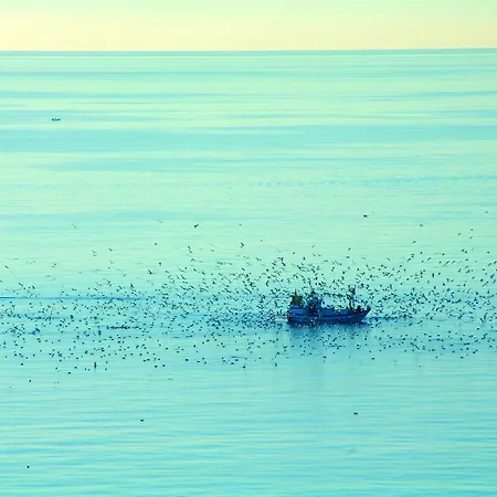 Appart hôtel Ona Princesa Playa